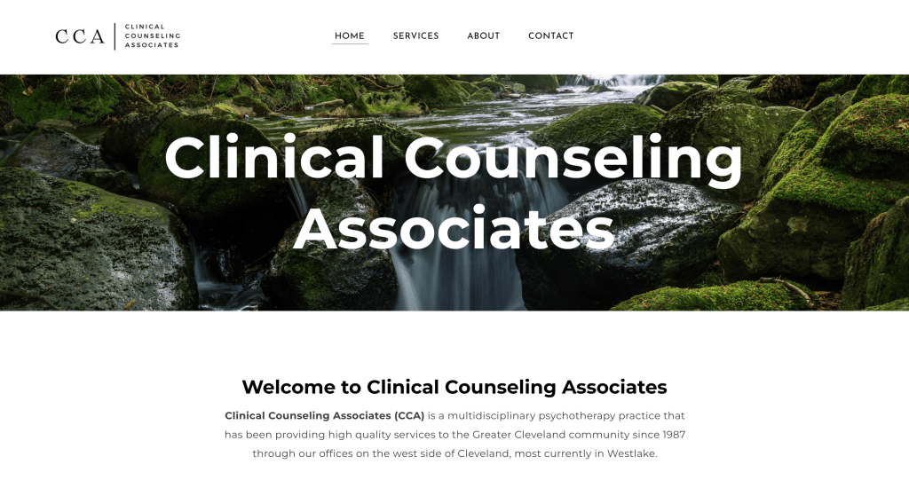 Clinical Counseling Associates, website design